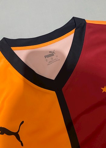 Galatasaray Kısa Kollu Erkek Forma - Görsel 3