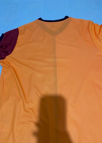 Galatasaray Kısa Kollu Erkek Forma - Görsel 2