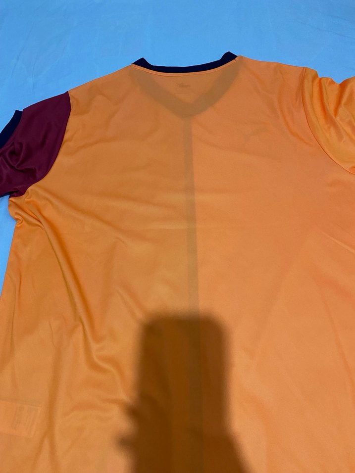 Galatasaray Kısa Kollu Erkek Forma - Görsel 2