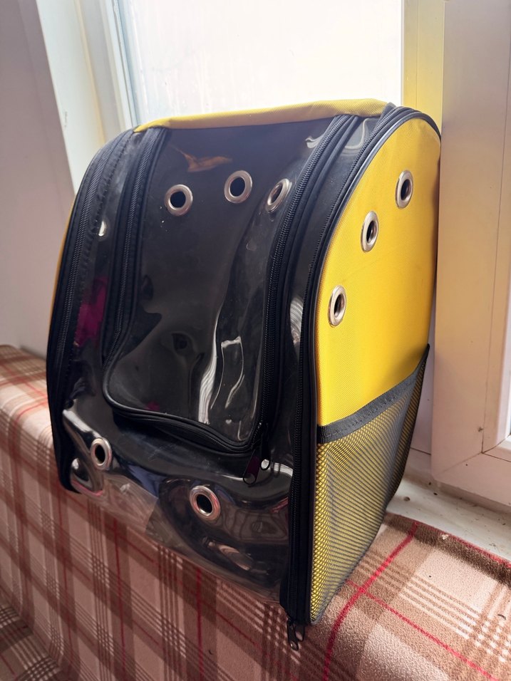 Sarı Taşınabilir Evcil Hayvan Taşıyıcı Sırt Çantası - Görsel 3