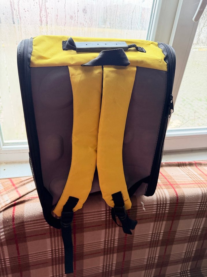 Sarı Taşınabilir Evcil Hayvan Taşıyıcı Sırt Çantası - Görsel 4