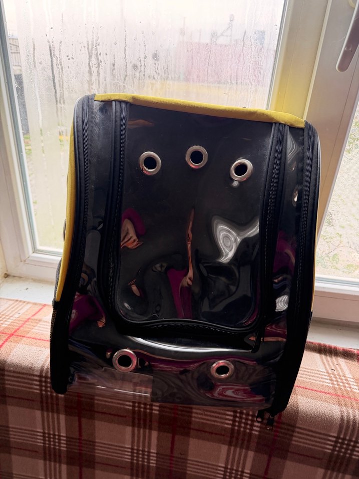 Sarı Taşınabilir Evcil Hayvan Taşıyıcı Sırt Çantası - Görsel 2