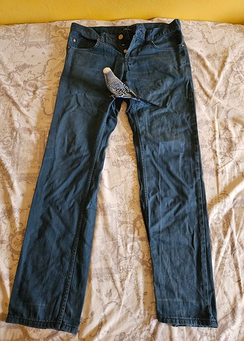 Erkek  Regular Fit Denim Jean - Görsel 6