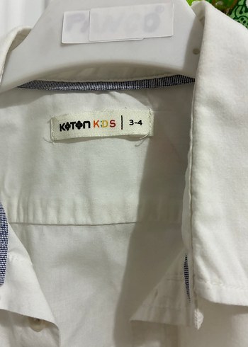 3-4 yaş Erkek Çocuk Beyaz Pamuklu  Düğmeli Gömlek - Görsel 3