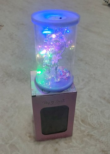 IŞIK AKSESUAR LAMBA - Görsel 6