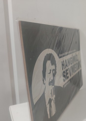 Hangimiz Sevmedik - Biyografi kitabı - Görsel 5