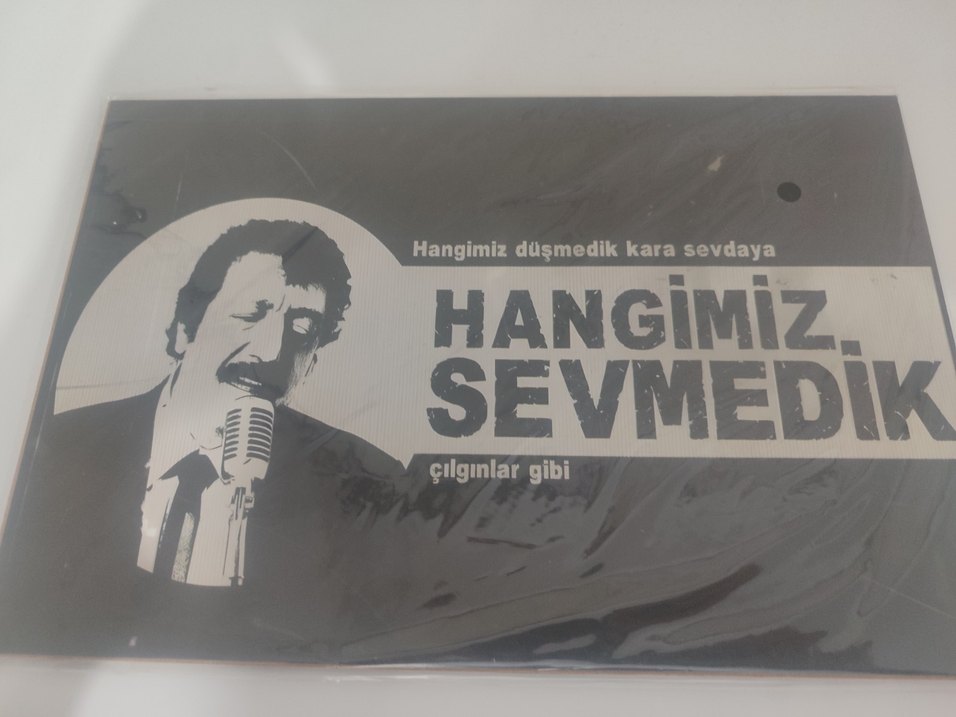 Hangimiz Sevmedik - Biyografi kitabı - Görsel 4