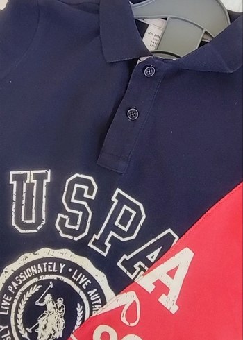 Kırmızı laci  Baskılı Erkek Çocuk Polo Tişört - Görsel 2