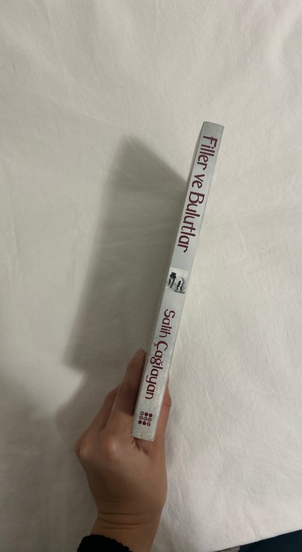 Filler ve Bulutlar - Salih Çağlayan - Görsel 4