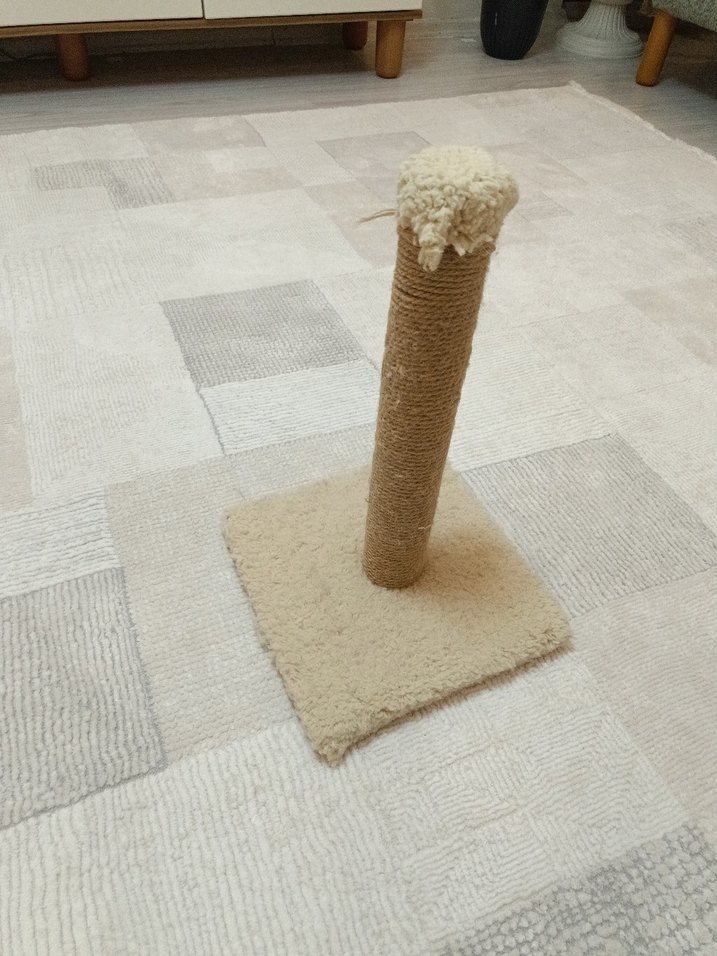 Bej Kedi Tırmalama Direği - Görsel 2