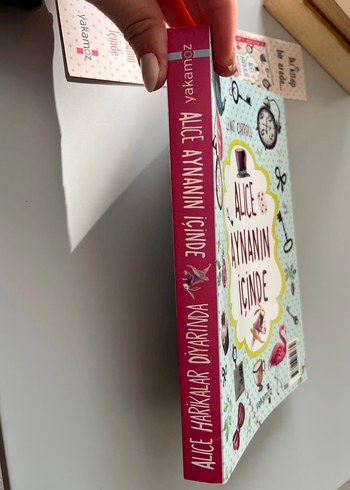 Alice Harikalar Diyarında - Çocuk Kitabı - Görsel 3