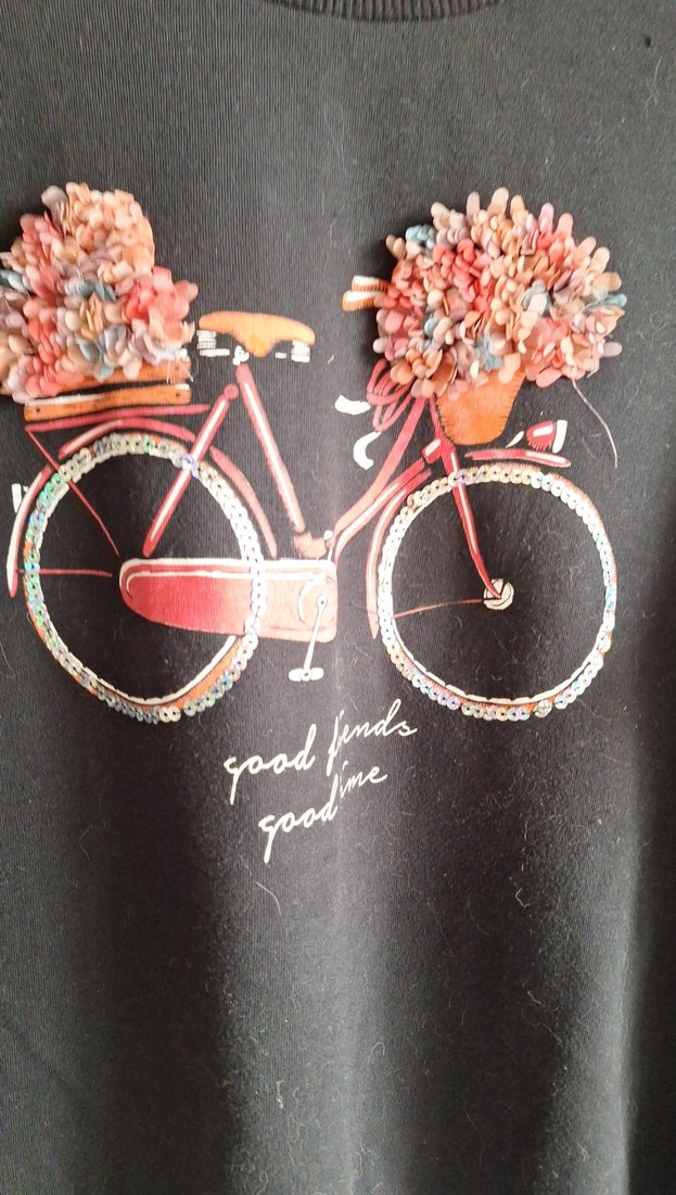 Nakışlı Bisiklet Baskılı Kadın Sweatshirt - Görsel 2