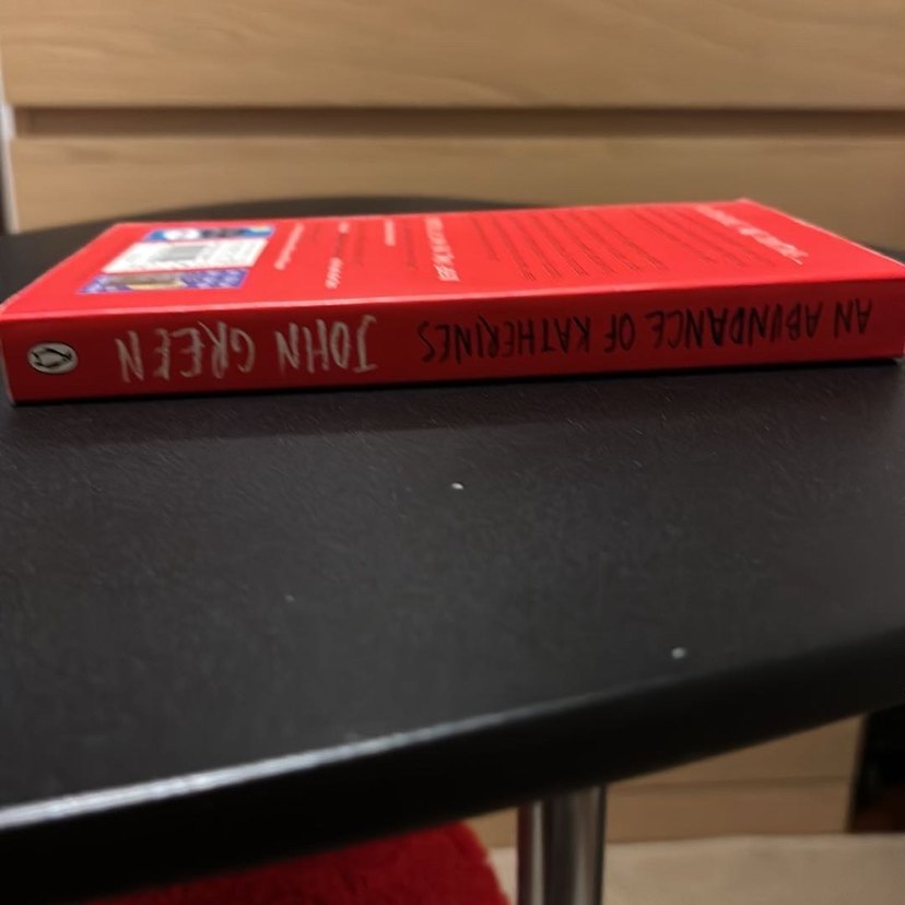 An Abundance of Katherines - John Green - Görsel 3