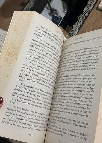 Limon Ağacı - Sandy Tolan - Görsel 4