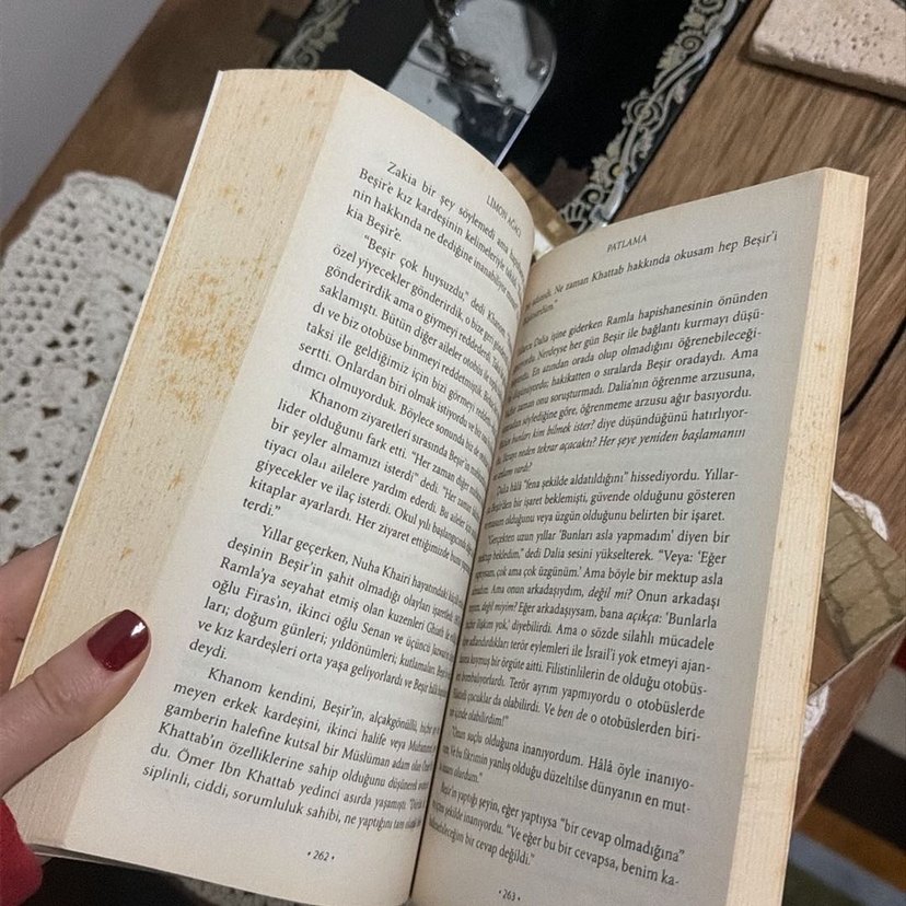 Limon Ağacı - Sandy Tolan - Görsel 4