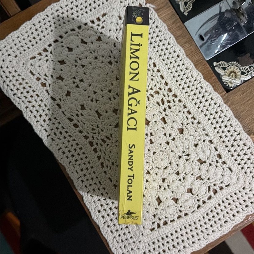 Limon Ağacı - Sandy Tolan - Görsel 2