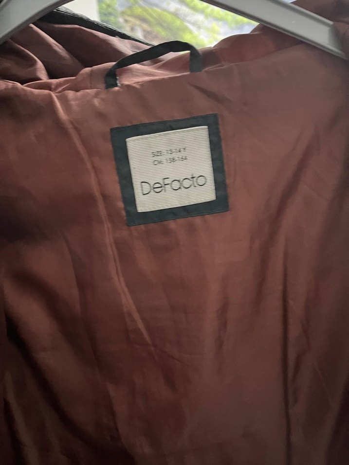 Fermuarlı, Normal Boy Kışlık Mont - Görsel 3