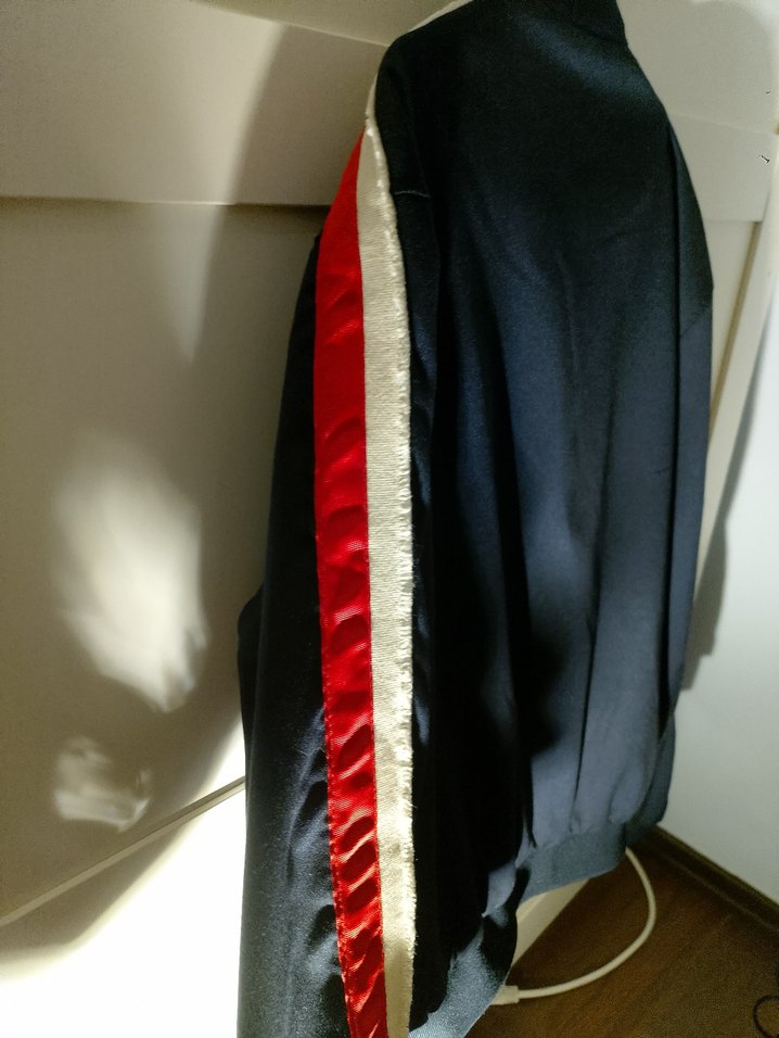 Zara Bomber Mont / Ceket L Beden  Lacivert Şerit Detay (Temiz) - Görsel 4