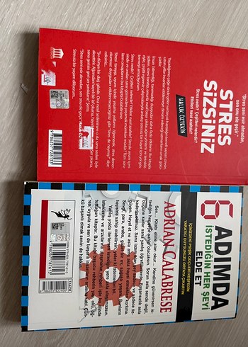 Adımda İstediğin Her Şeyi Elde Et - Adrian Calabrese - Görsel 2