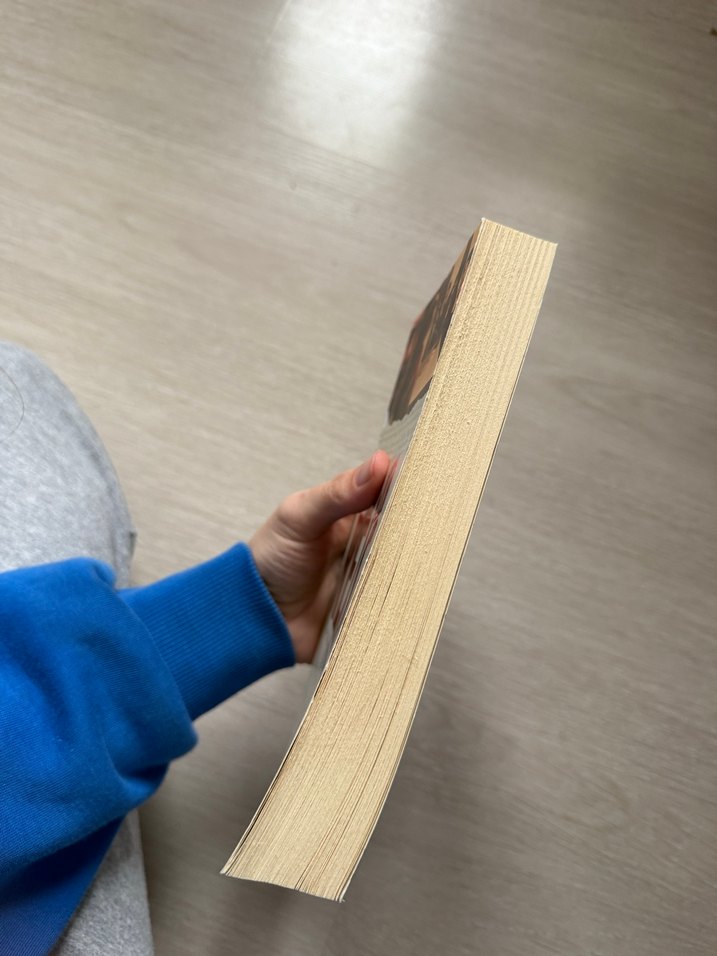 Bir Vatan İki Reis - Ersin Cengiz - Görsel 3