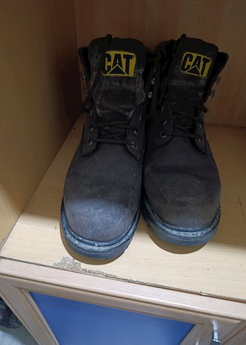 Cat 45