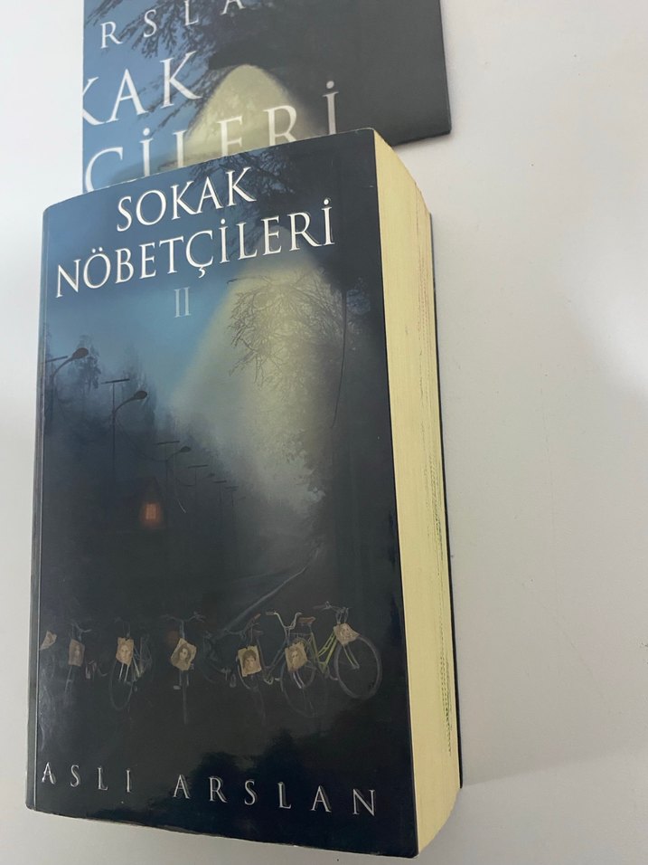 Sokak Nöbetçileri II - Aslı Arslan - Görsel 2