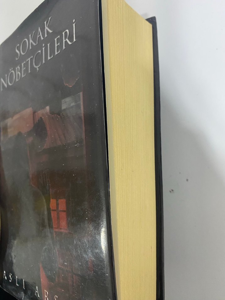 Sokak Nöbetçileri - Aslı Arslan - Görsel 2