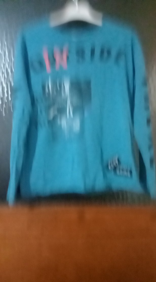 Mavi Baskılı Erkek Sweatshirt - Görsel 2