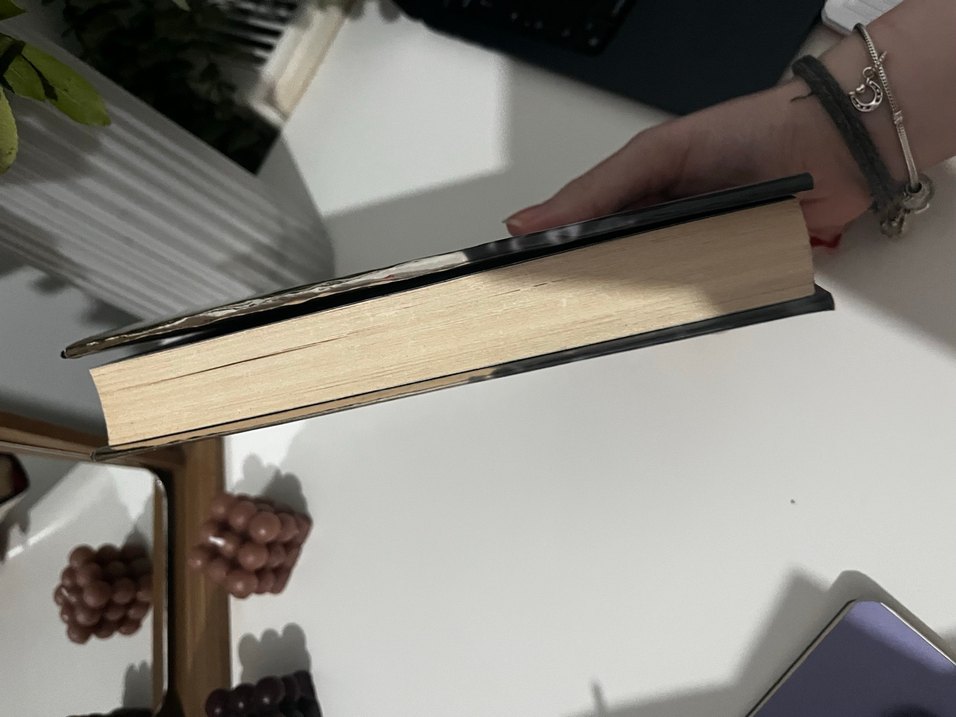 Ölüler Konuşamaz Romanı - Görsel 4