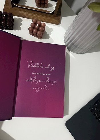 Daire 7 - Beyza Alkoç Roman - Görsel 2