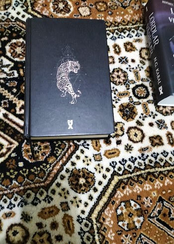 Lordlar ve Varisler - N.G. Kabal - Görsel 4