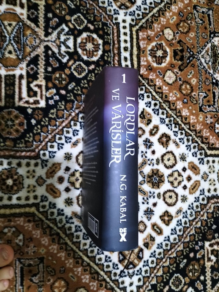 Lordlar ve Varisler - N.G. Kabal - Görsel 2