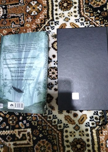 Krallar ve Soytarıları - N.G. Kabal - Görsel 7