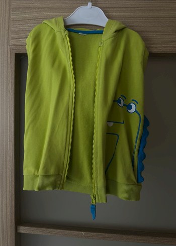 Erkek Çocuk Renkli Dinozor Baskılı Kapüşonlu Yelek - Görsel 3