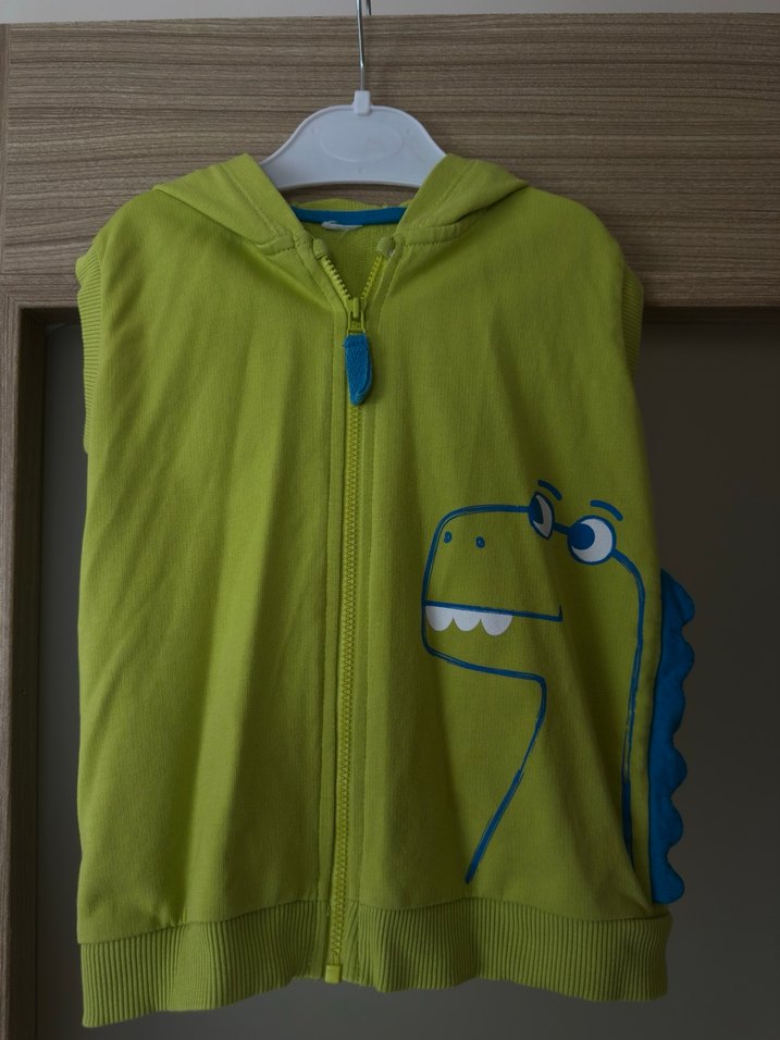 Erkek Çocuk Renkli Dinozor Baskılı Kapüşonlu Yelek - Görsel 2