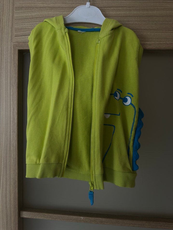 Erkek Çocuk Renkli Dinozor Baskılı Kapüşonlu Yelek - Görsel 3