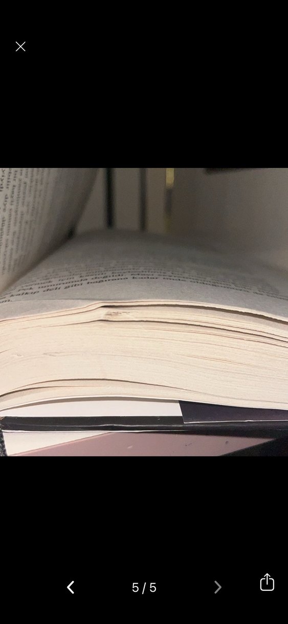 Sobe ve Saklambaç Roman Seti - N.G. Kabal - Görsel 4