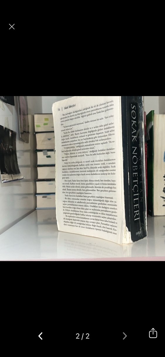 Sokak Nöbetçileri - Aslı Arslan - Görsel 2