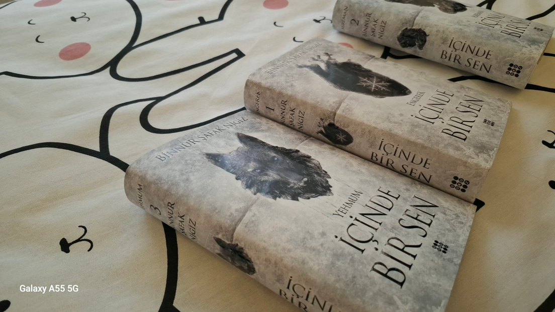 Binnur şafak nigiz - İçinde bir sen 3 - Görsel 2