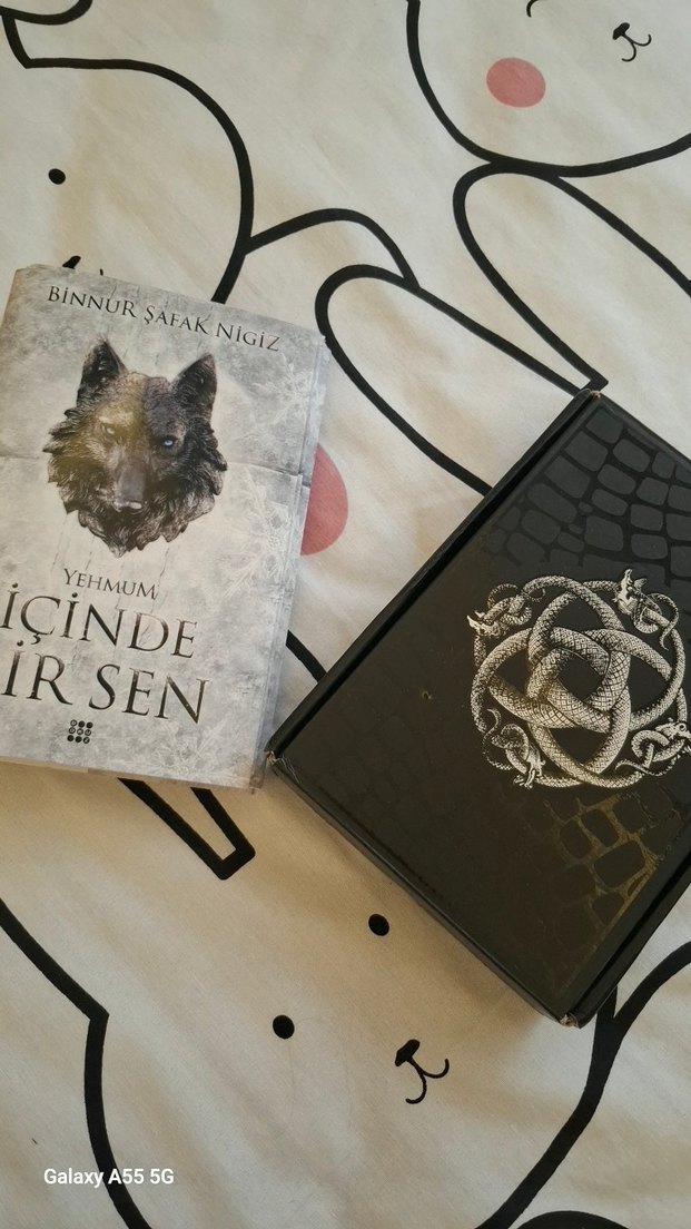 Binnur şafak nigiz - İçinde bir sen 3 - Görsel 4