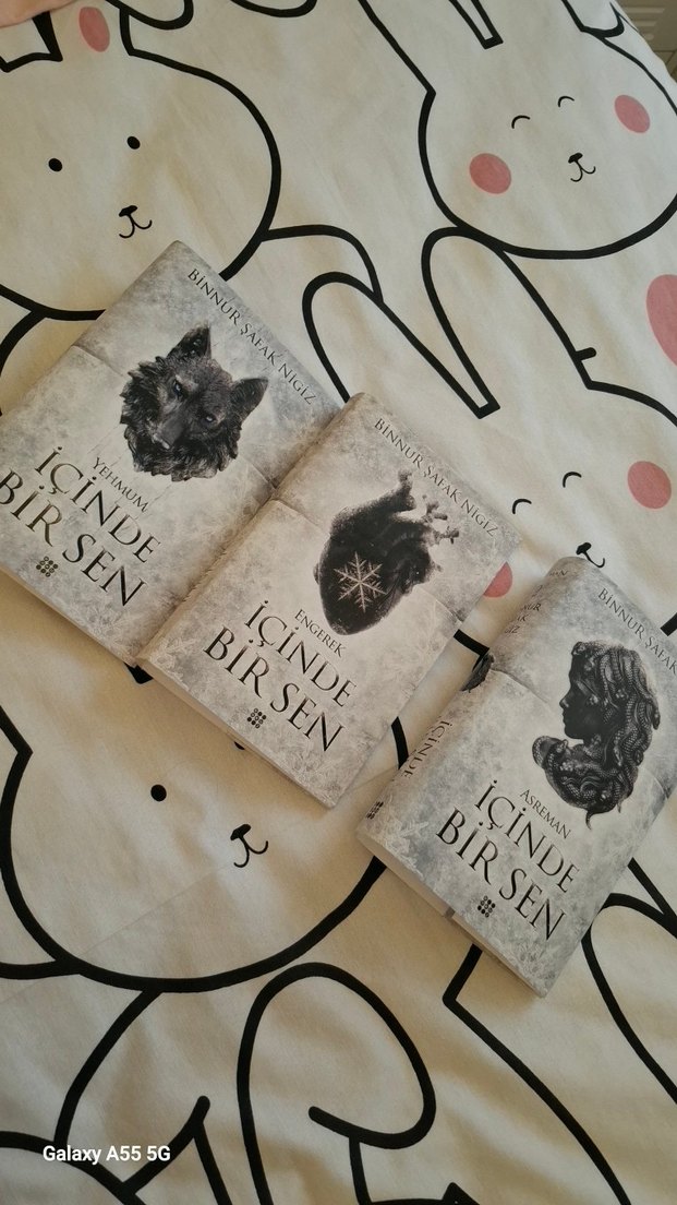 Binnur şafak nigiz - İçinde bir sen 3 - Görsel 3