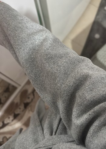 Gri uzun yün kaban - Görsel 3