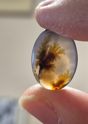 Muhteşem Manzaralı Doğal Dendritli Akik Taşı (Şecer Akik) - Görsel 4