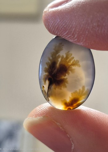 Muhteşem Manzaralı Doğal Dendritli Akik Taşı (Şecer Akik) - Görsel 5