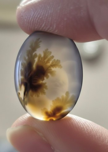 Muhteşem Manzaralı Doğal Dendritli Akik Taşı (Şecer Akik) - Görsel 3