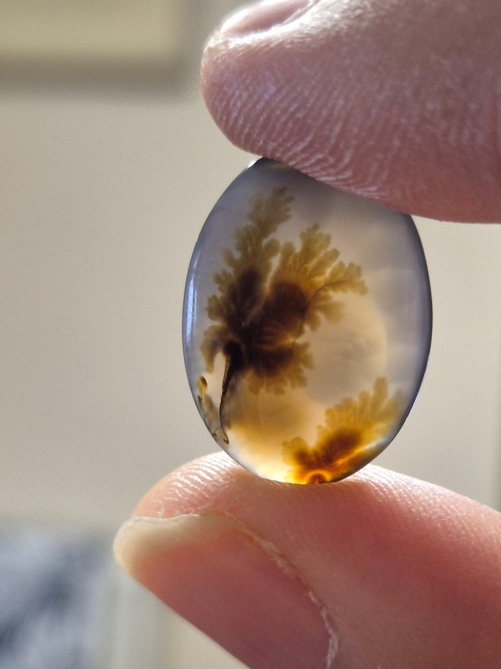 Muhteşem Manzaralı Doğal Dendritli Akik Taşı (Şecer Akik) - Görsel 4