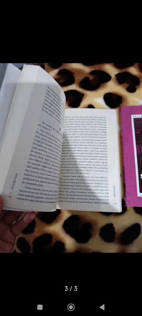 Sabahattin Ali Romanları Seti - Görsel 2