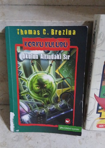 Korkukulübü ve Dipper ile Mabel Çocuk Kitapları - Görsel 2