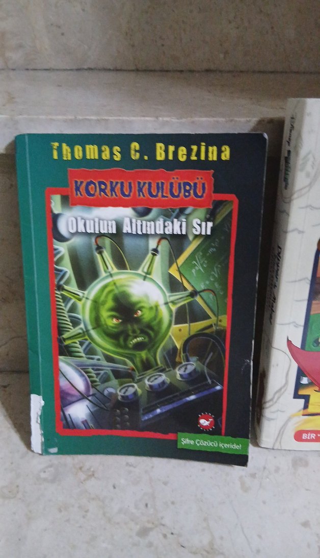 Korkukulübü ve Dipper ile Mabel Çocuk Kitapları - Görsel 2