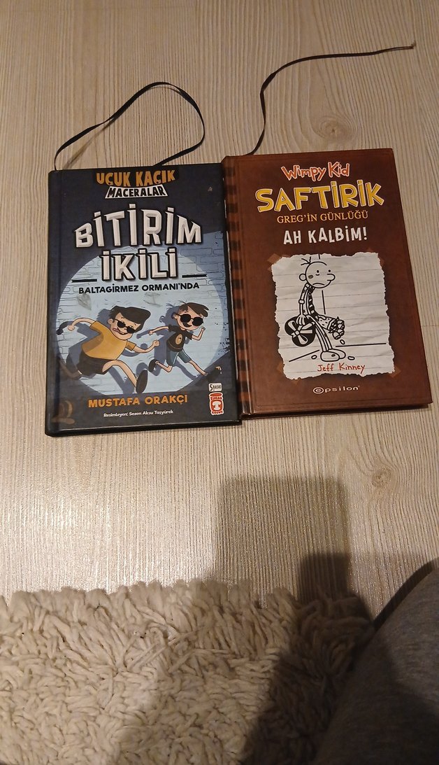 Çocuk Kitapları: Macera ve Günlük - Görsel 2